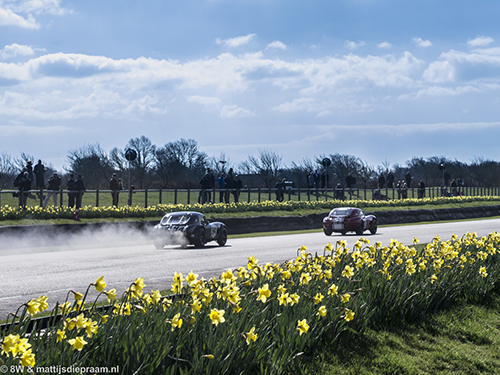 AC Cobra, 2015 Goodwood Members Meeting