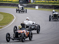 Duncan Pittaway, Julian Majzub, Mathias Sielecki, Edward Way, GN-Curtiss Vitesse, Sunbeam Indianapolis, Delage DH V12, Austin Hall & Scott Special, 2016 Goodwood Members' Meeting