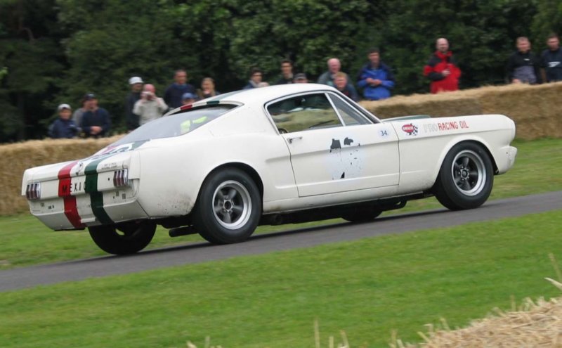 mustang gt350. Mustang+gt350r