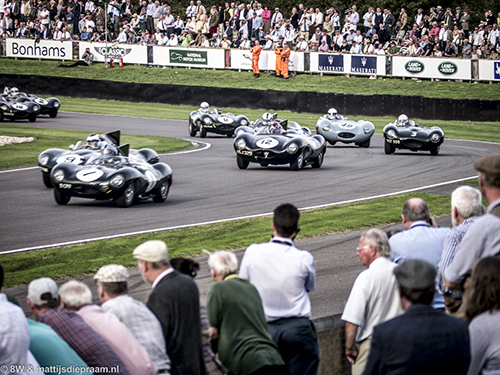 Lavant Cup, Jaguar D-type, 2014 Goodwood Revival