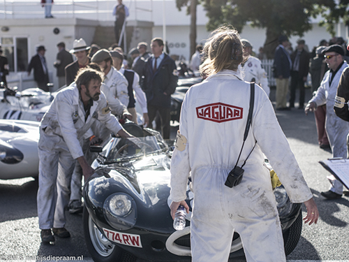 Jaguar D-type, 2015 Goodwood Revival