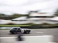 Michael Gans/Andy Wolfe, AC Cobra, 2017 Goodwood Revival